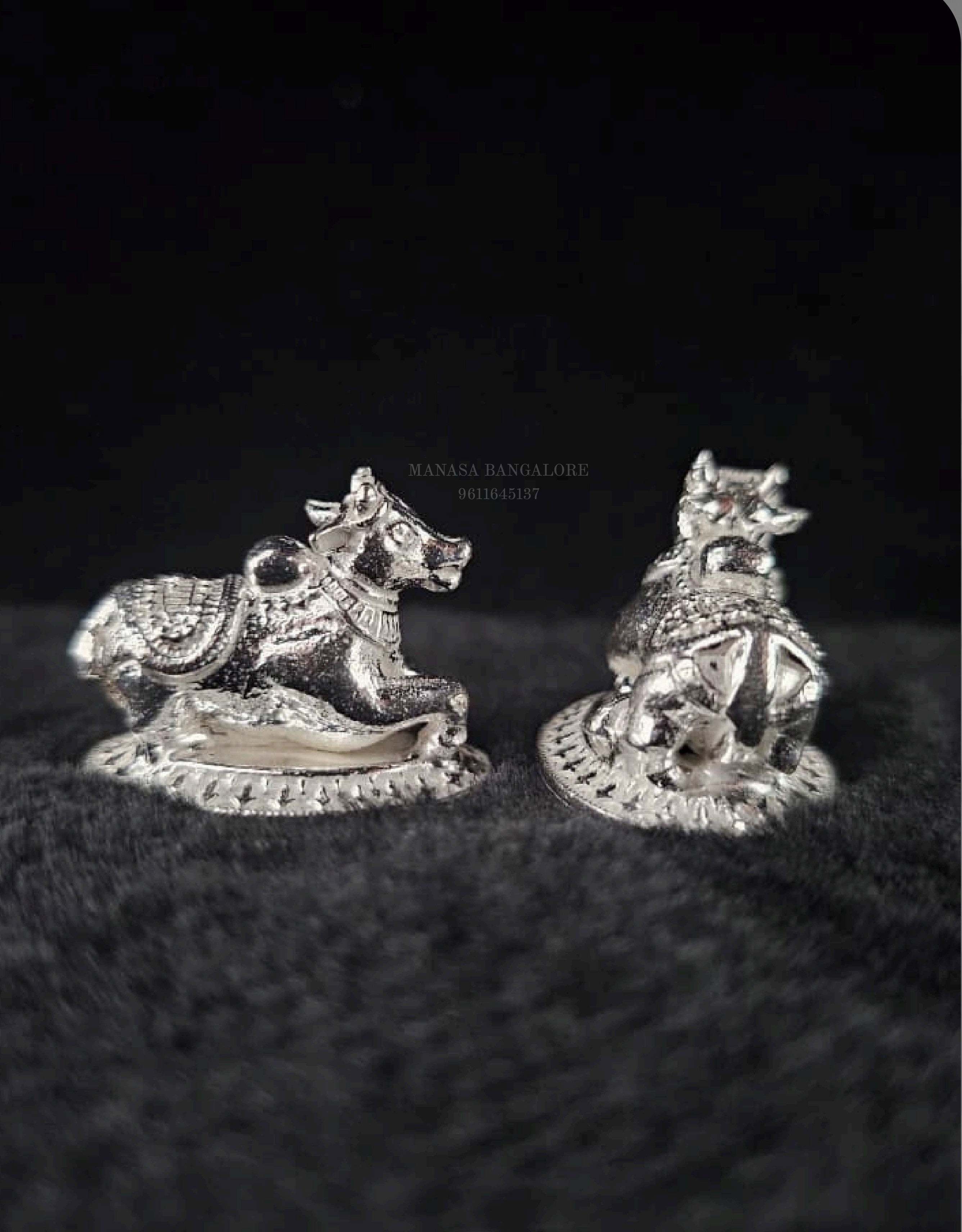 Special Nandi mata