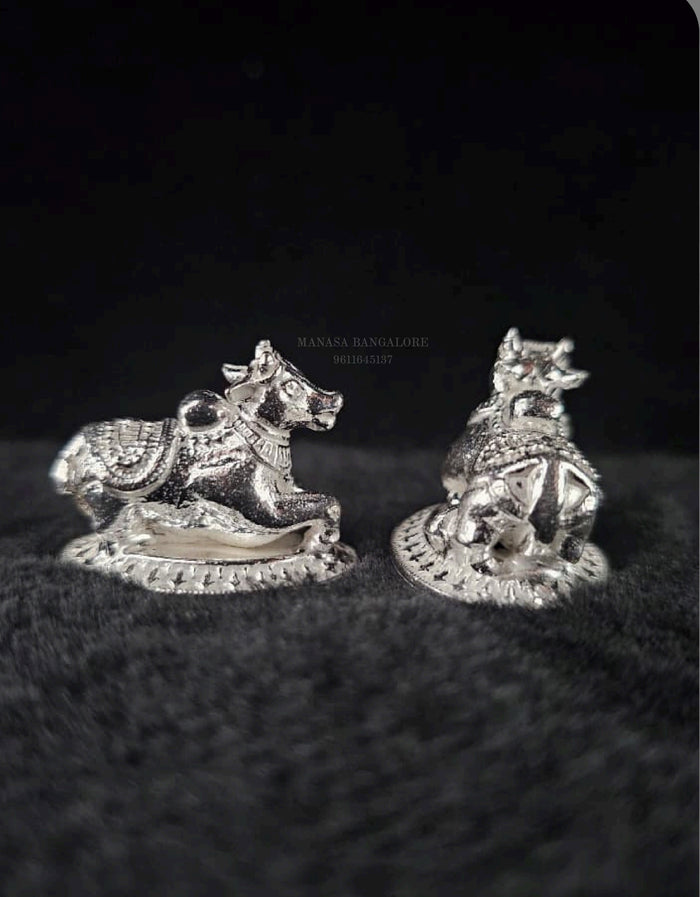 Special Nandi mata
